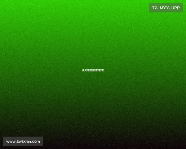 BS电竞坐标：荣耀征程再启航